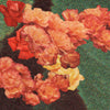 Brice Brown, Rosebud 2, 6, 5 and 11 2012
