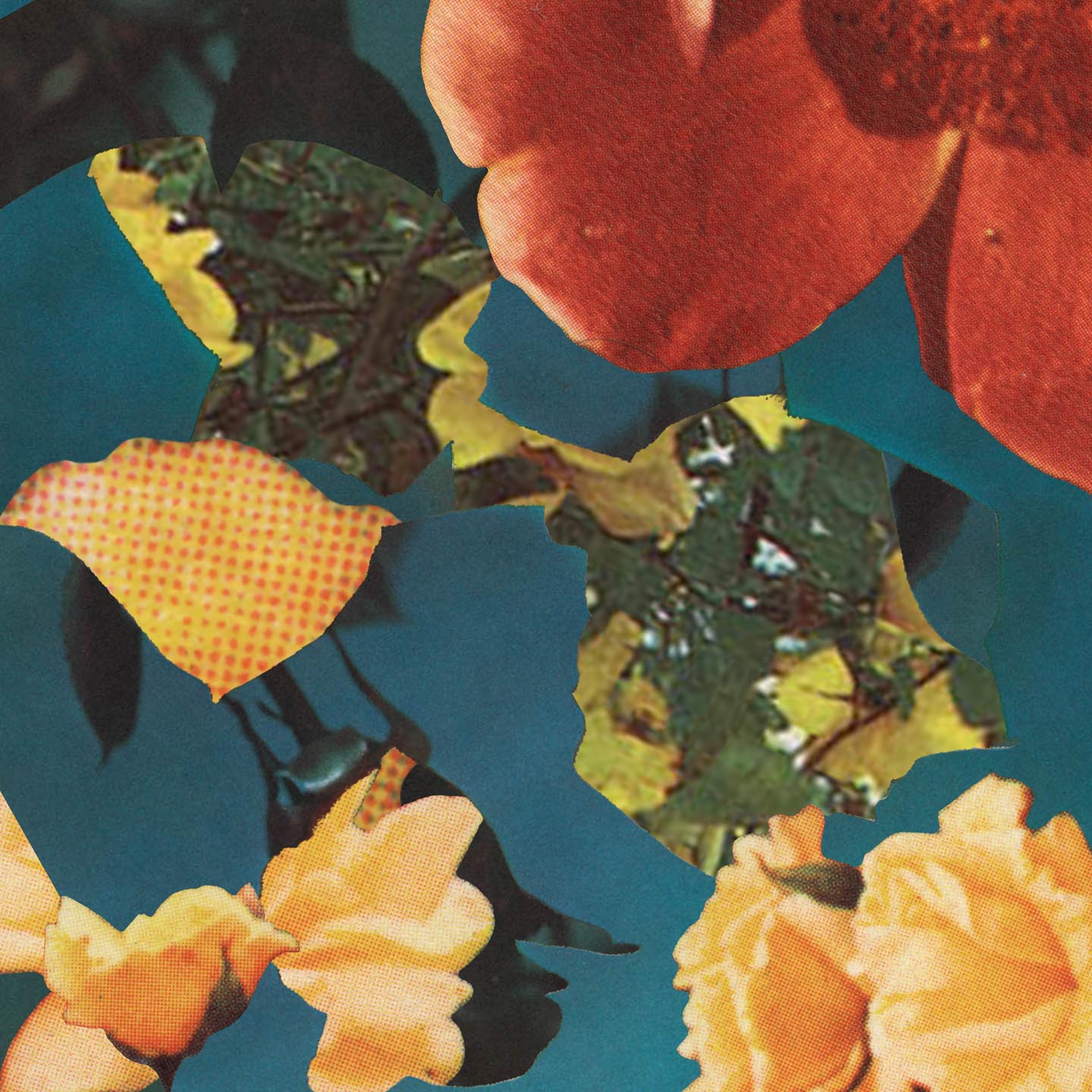 Brice Brown, Rosebud 2, 6, 5 and 11 2012