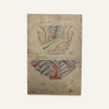 Vittorio Zecchin, Vessel with leaf decoration