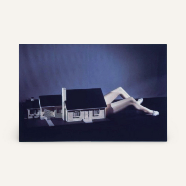 Laurie Simmons, Lying House