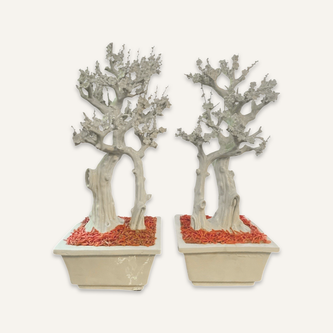 Pair of 18th c. Dehua Prunus trees